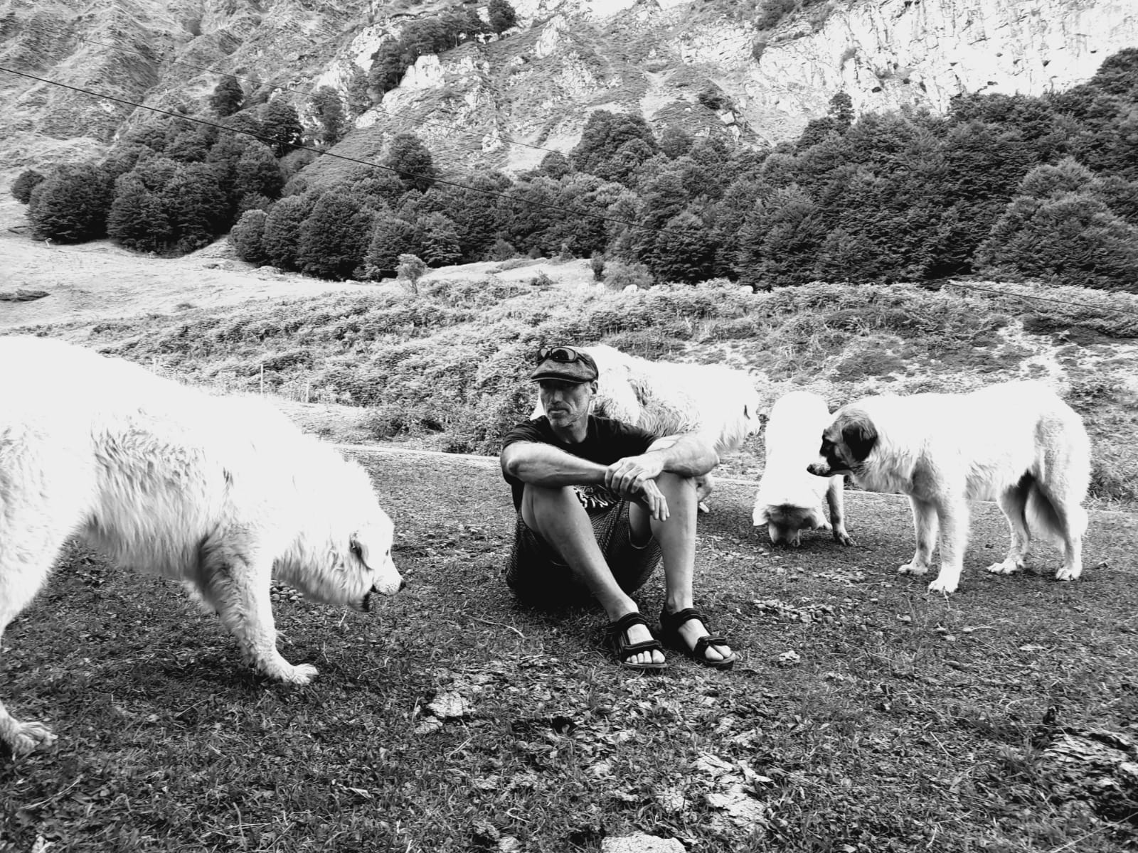 Laborde Jean Louis montagne